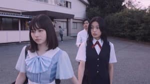 ひらいて — foto 3