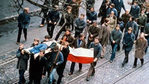 Człowiek z żelaza — foto 2