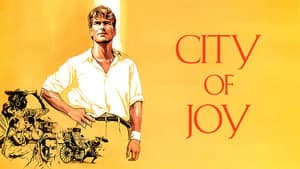 City of Joy — foto 8