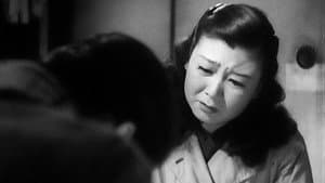 素晴らしき日曜日 — foto 5