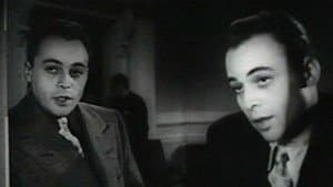 Dual Alibi — foto 1