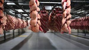 La face cachée de l'industrie alimentaire — foto 1