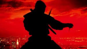 La venganza del Ninja — foto 6