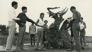 Sodrásban — foto 1