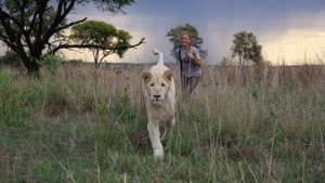Mi mascota es un león — foto 12