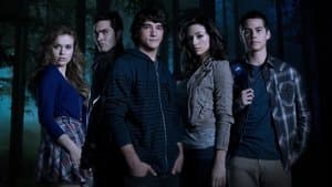 Lobo Adolescente — foto 5