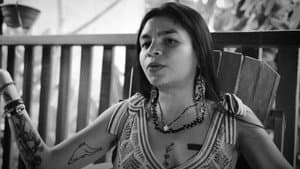 Como Matar um Rio — foto 4