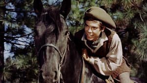 Johnny Tremain — foto 6
