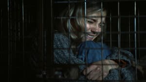 The Knocking: La maldición del bosque — foto 3