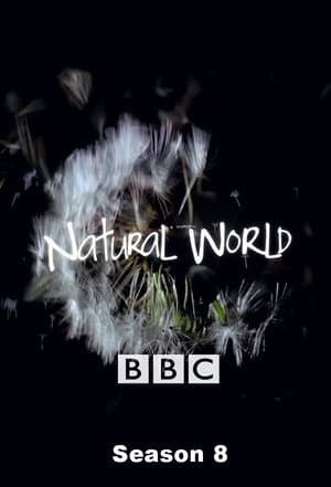 Temporada 8