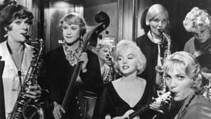 Memories from the Sweet Sues — foto 1
