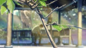El jardín de las palabras — foto 4