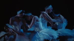 Swan Song — foto 1