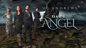 Dark Angel — foto 4