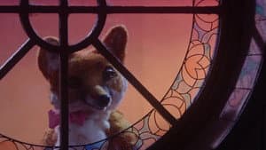 Dragfox — foto 3