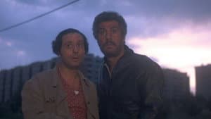 Testa o croce — foto 1
