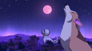 Honguillo (Parte 1)