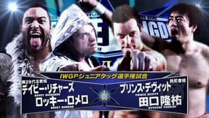 NJPW Wrestle Kingdom VI — foto 6