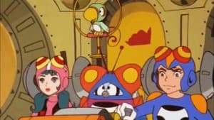 Time Bokan — foto 1