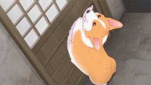 Episodio 13