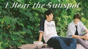 I Hear the Sunspot — foto 10