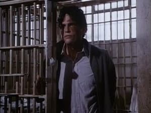 Episodio 11