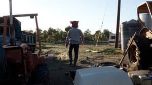 Pig Killer — foto 2