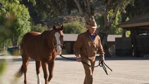 The Cowboy and the Queen — foto 4