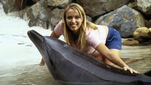Flipper — foto 12
