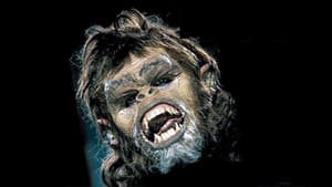 La caverna del terror — foto 6