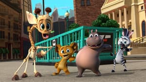 Madagascar: Algo Salvaje — foto 4