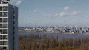Linkeroever — foto 4