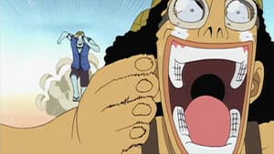 ¡Guerreros orgullosos! Las duras batallas de Sanji y Usopp.