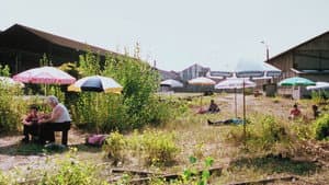 Ce vieux rêve qui bouge — foto 3