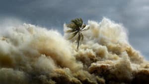 Tsunamis: Carrera contra el tiempo — foto 5