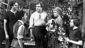 Swiss Family Robinson — foto 7