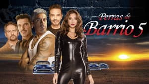 Perras de barrio 5 — foto 1