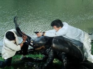 Episodio 26