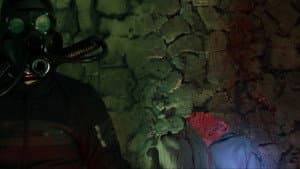 The Mildew from Planet Xonader — foto 1