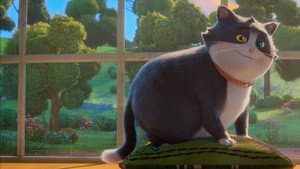 Un Gato con Suerte — foto 7