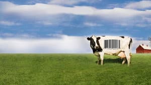Food, Inc. — foto 7