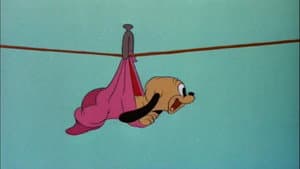 Pluto Junior — foto 2