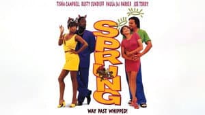 Sprung — foto 3