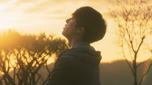 썰 — foto 1