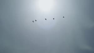 A Place to Hide — foto 1