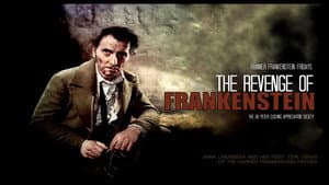 La venganza de Frankenstein — foto 8