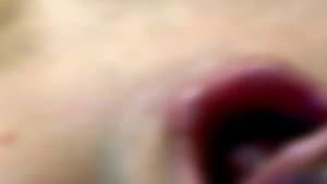 Bottom — foto 3