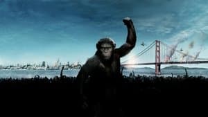 El planeta de los simios: (R)evolución — foto 3