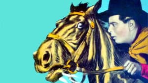 Hey! Hey! Cowboy — foto 1