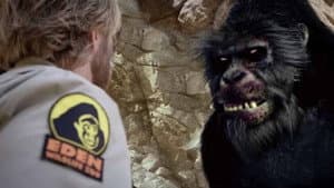 Zoombies — foto 1